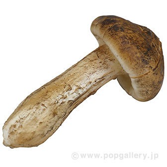 食品サンプル 松茸（中）