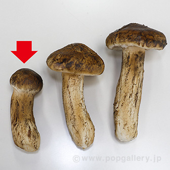 食品サンプル 松茸（小）