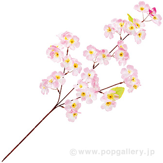 桜スプレー3本枝