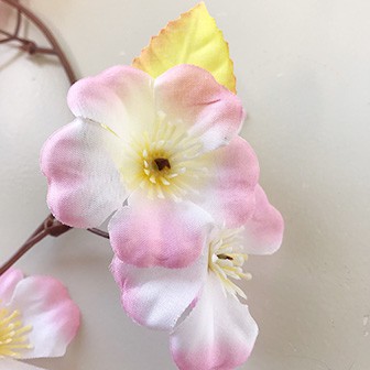 桜ローコストガーランド