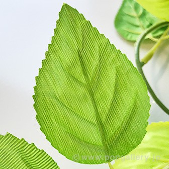 若葉ローコストガーランド