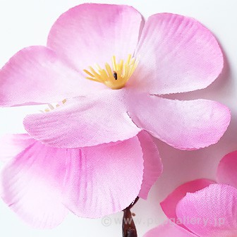 ニュー大桜スプレー