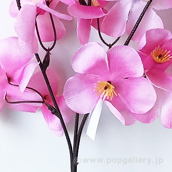 ニュー大桜スプレー