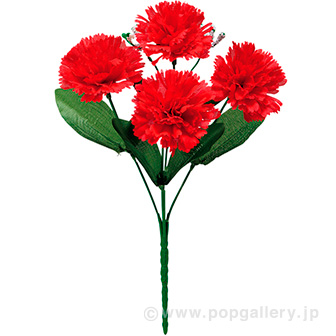 カーネーションブッシュ