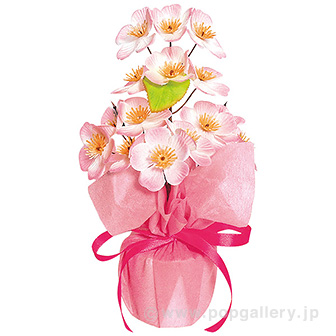 桜ラッピングポット