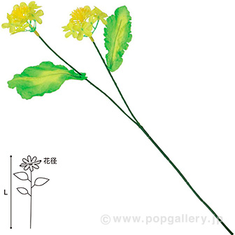 菜の花スプレー