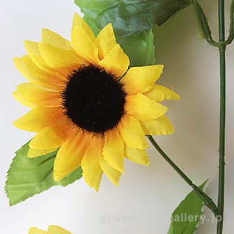 ひまわりスプレー5本枝