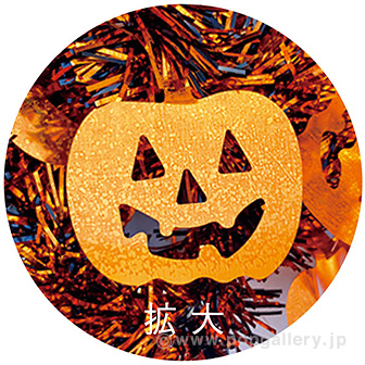 ハロウィンパンプキンモール（オレンジ／ブラック） (オレンジ/ブラック)