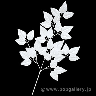 ホワイトリーフスプレー