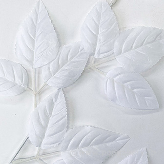 ホワイトリーフスプレー