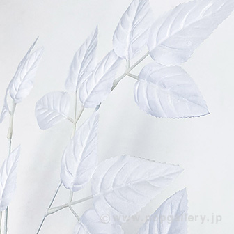 ホワイトリーフスプレー