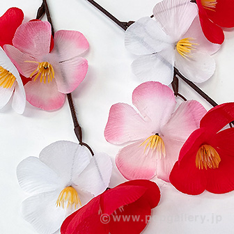 カラフル大梅スプレー