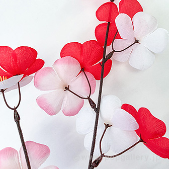 カラフル大梅スプレー