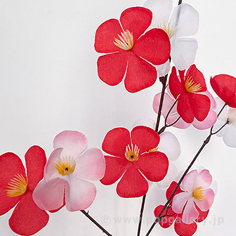 カラフル大梅スプレー