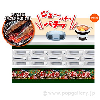 音源POP 秋【CD/10タイトル】 秋