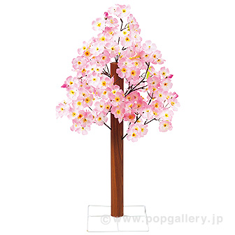 桜バリュー立木 (高さ：70cm）