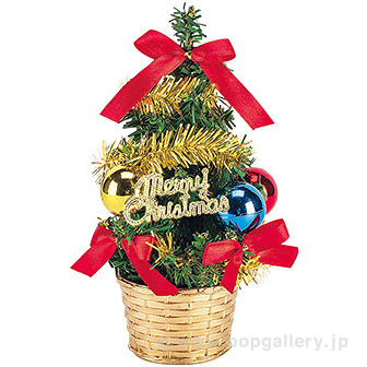 20cmバリューポットツリー