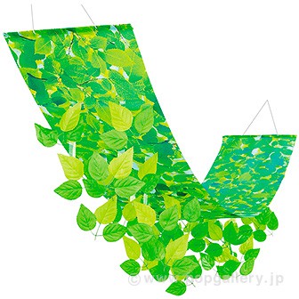 若葉ペナント