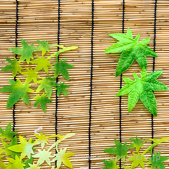 楓スダレハンガー