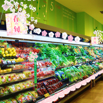 モダン桜バナー