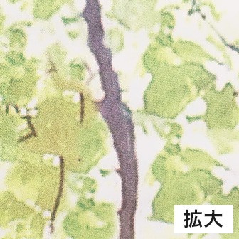 新緑若葉タペストリー（防炎加工）