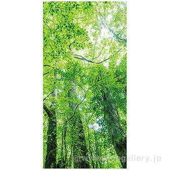 木漏れ日若葉タペストリー(防炎加工)