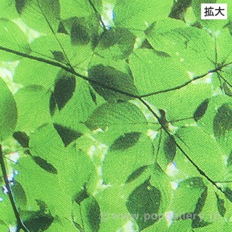 木漏れ日若葉タペストリー（防炎加工）