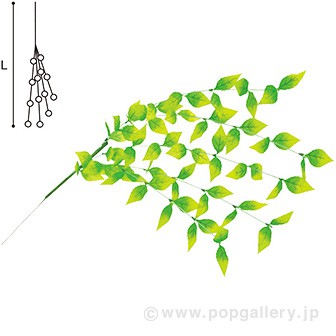 若葉シダレ