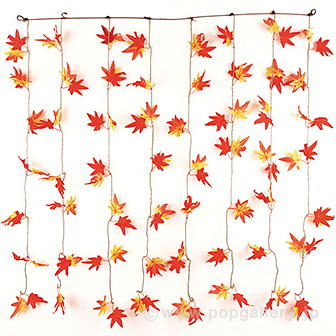 もみじカーテン