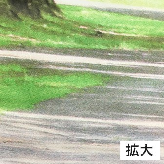 白樺並木タペストリー（防炎加工）