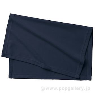エコブランケット（再生PET） ミニ （ネイビー） NV(ネイビー)