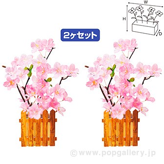 桜垣根ポットセット