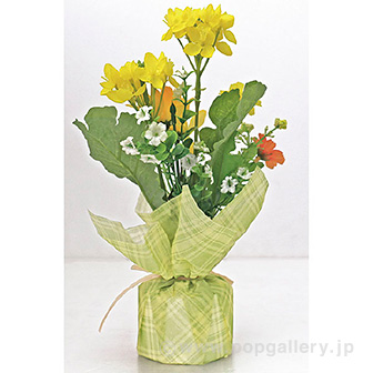 菜の花ペアラッピングポット