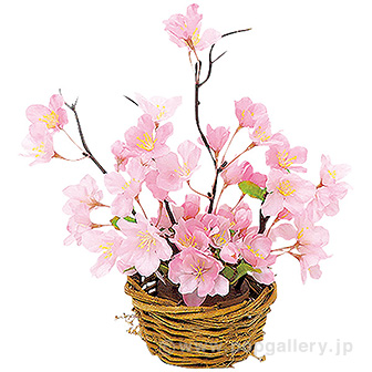 山桜アレンジバスケット
