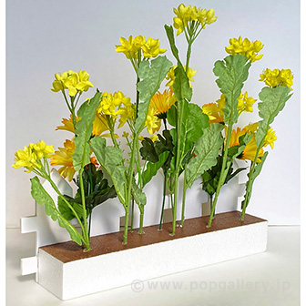 菜の花垣根アレンジ