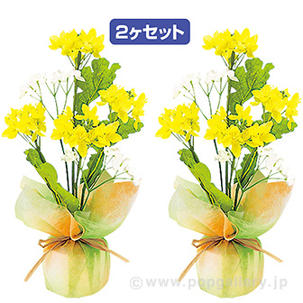 菜の花ペアラッピング