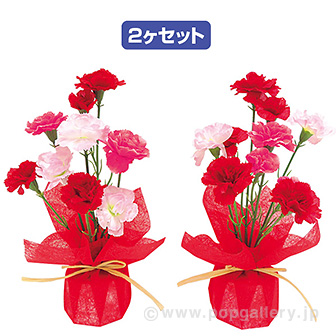 カーネーションペアラッピング