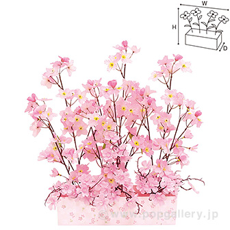 桜アレンジプランター