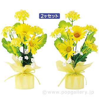 菜の花ラッピングセット