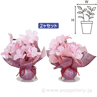 雅桜ボールPOPセット