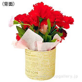 カーネーションローズスタンド