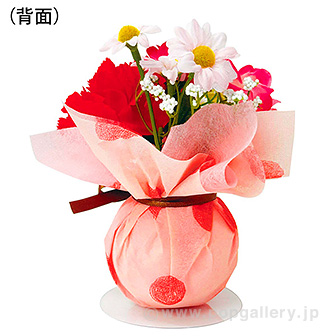 カーネーションボールPOPセット