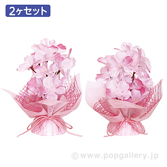 春色桜ペアセット