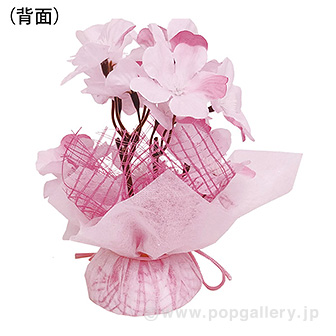 春色桜ペアセット