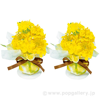 菜の花ボールペアセット