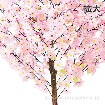 ナチュラル桜立木（大） (高さ：180cm）