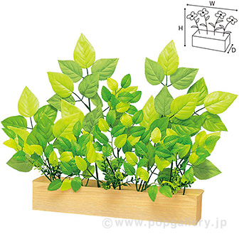 若葉プランター