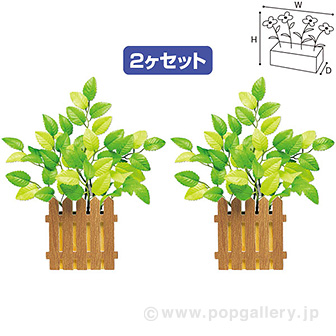 若葉垣根ペアポット（２個１セット）