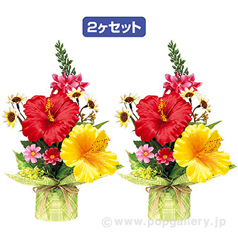 トロピカルペアラッピング（２個１セット）