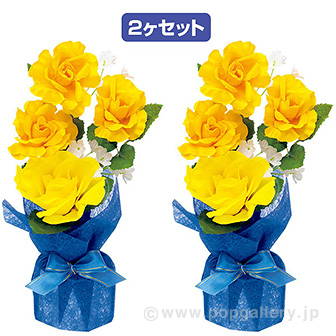 バラペアラッピング